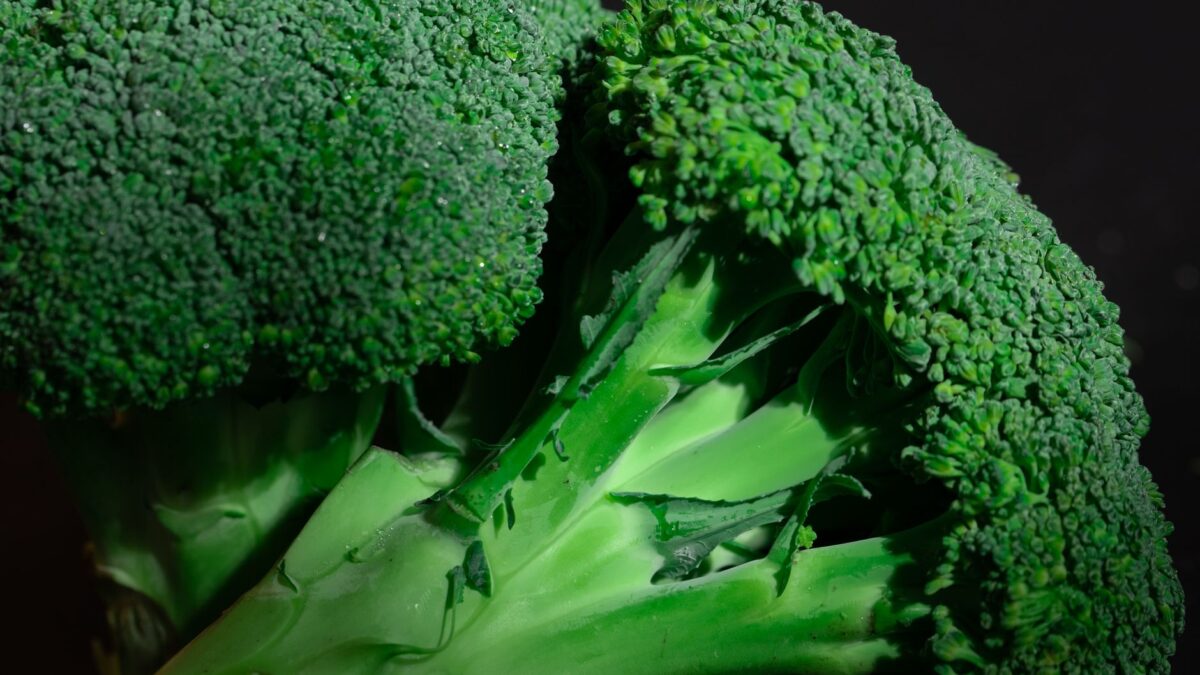 brocoli sous panneaux magenta